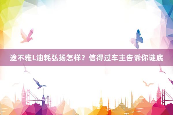 途不雅L油耗弘扬怎样？信得过车主告诉你谜底